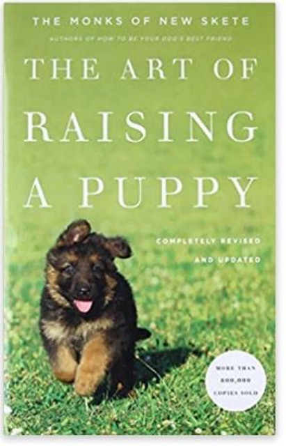 The Art of Raising a Puppy 1