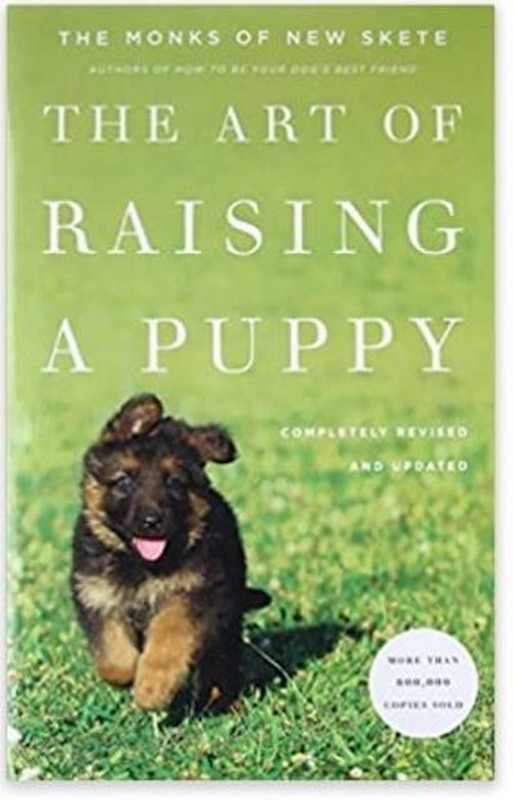 The Art of Raising a Puppy 1
