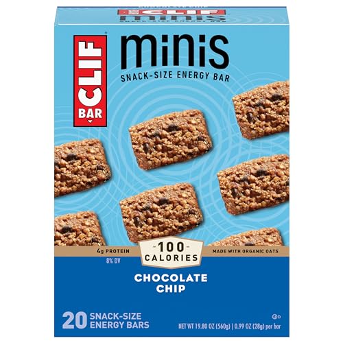 Chocolate Chip Minis 1