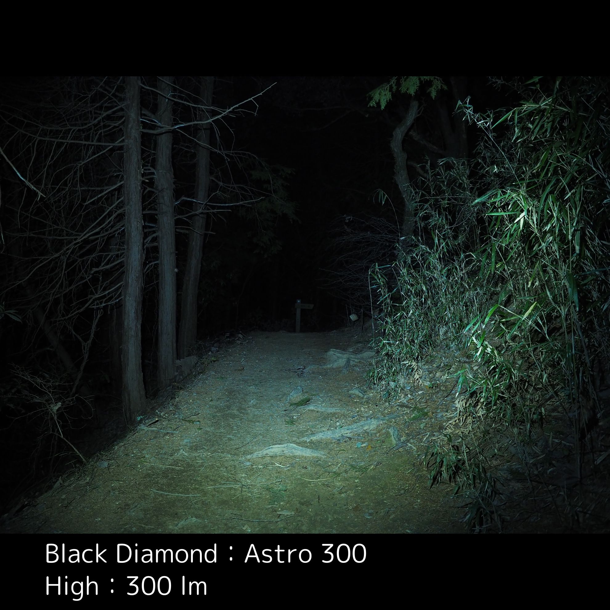 Astro 300 Headlamp 12