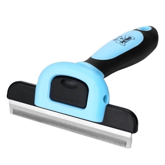 10 Best Cat Brushes in 2022 (Cleanhouse Pets, FURminator, and More) 2