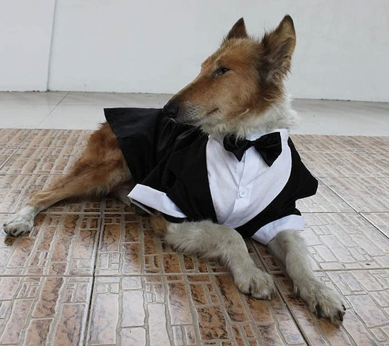 Dug Tuxedo Wedding Party Suit 1