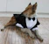 Evursua Dug Tuxedo Wedding Party Suit 1