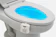 GlowBowl Fresh 1
