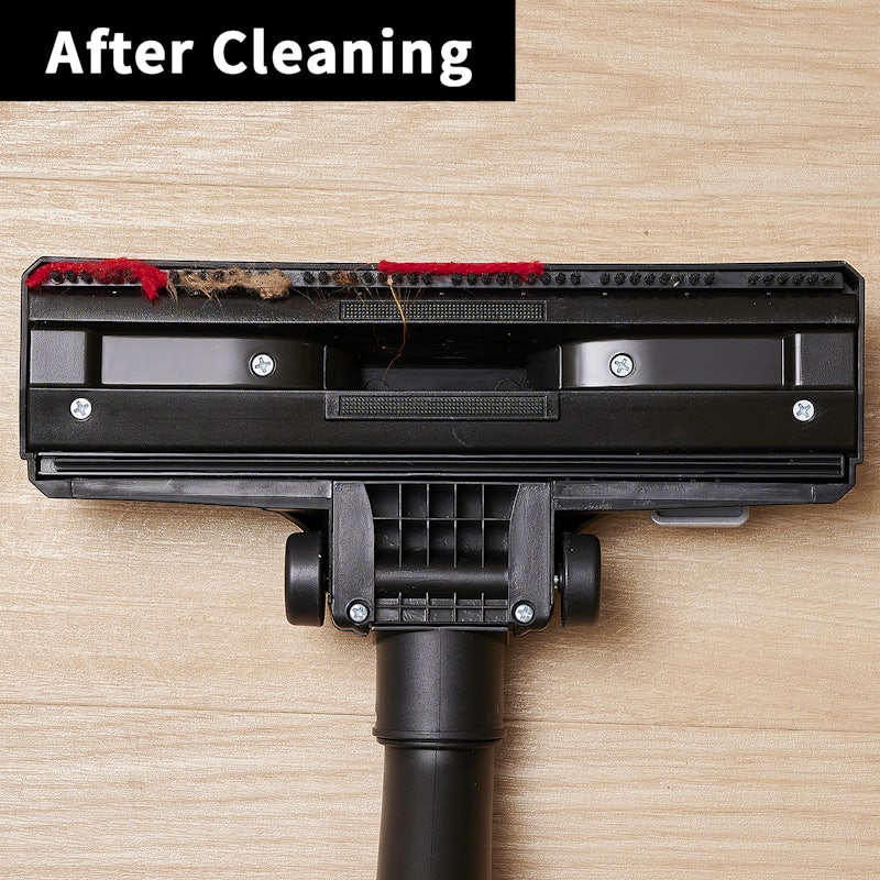 Zing Bagless Canister Vacuum 12