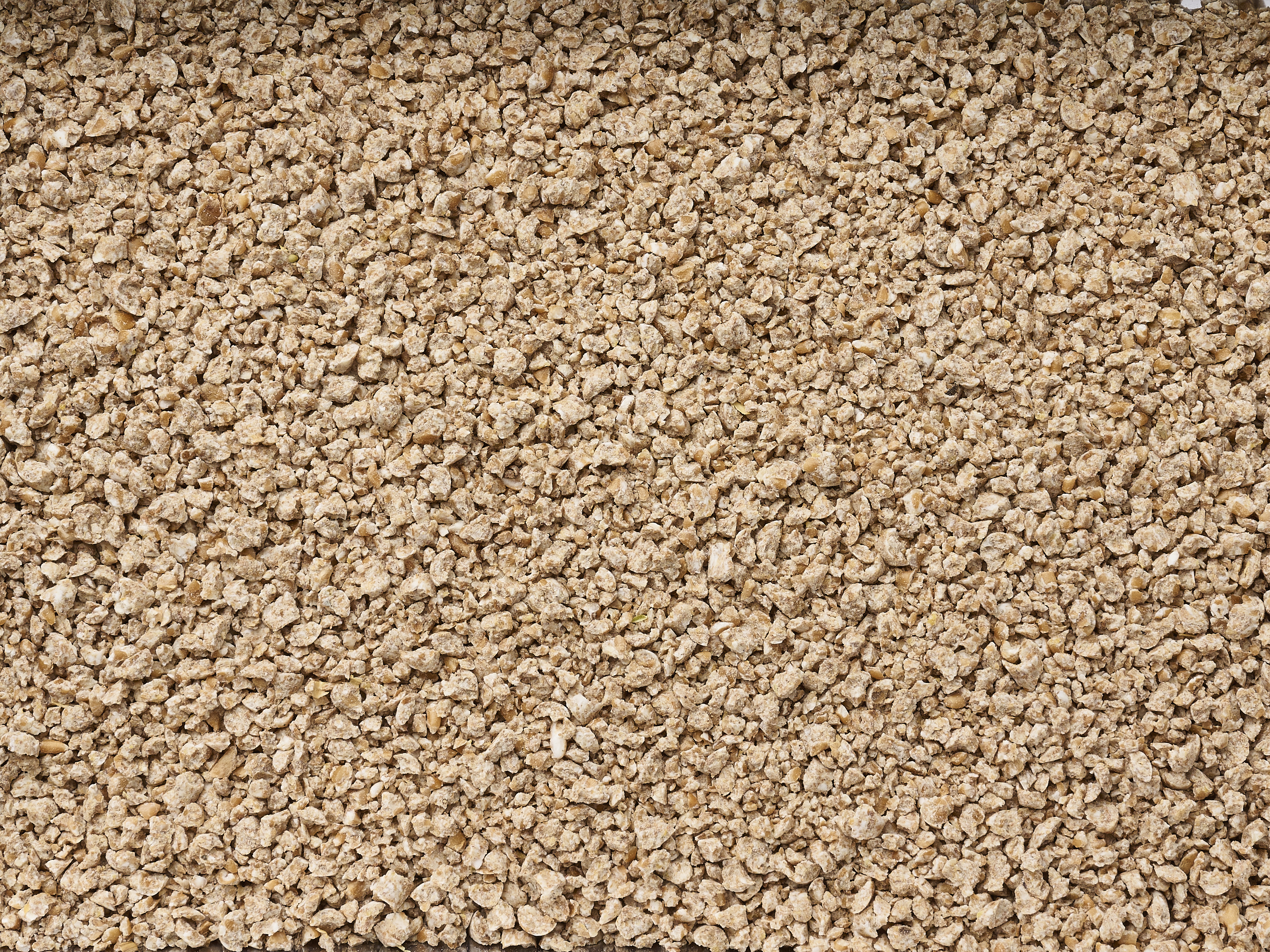 Original Wheat Cat Litter 3