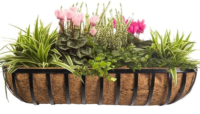 10 Best Balcony Planters in 2022 (Master Gardener-Reviewed) 5