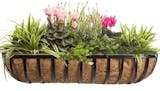 10 Best Balcony Planters in 2022 (Master Gardener-Reviewed) 5