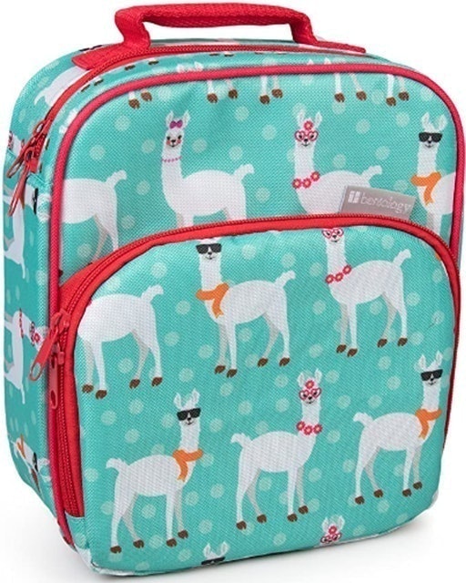 Insulated Lunchbox Bag 1
