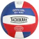 Tachikara Institutional Quality Composite Leather Volleyball 1