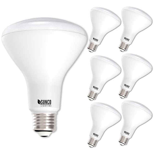 Dimmable, Indoor/Outdoor Flood Light 1