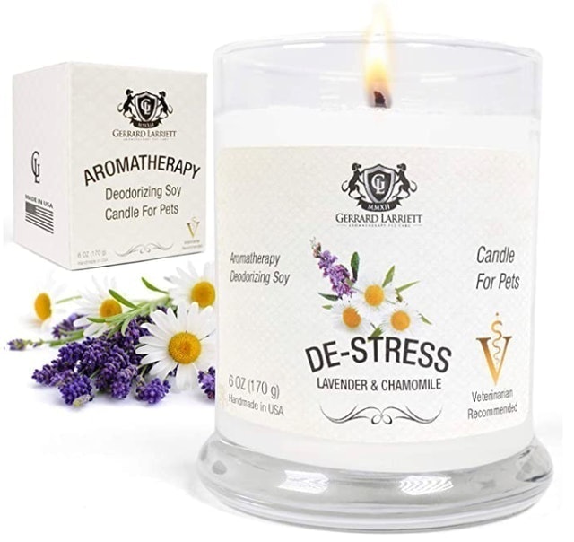 10 Best Pet Odor Eliminator Candles in 2022 (Fresh Wave and More) 3