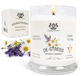 10 Best Pet Odor Eliminator Candles in 2022 (Fresh Wave and More) 3
