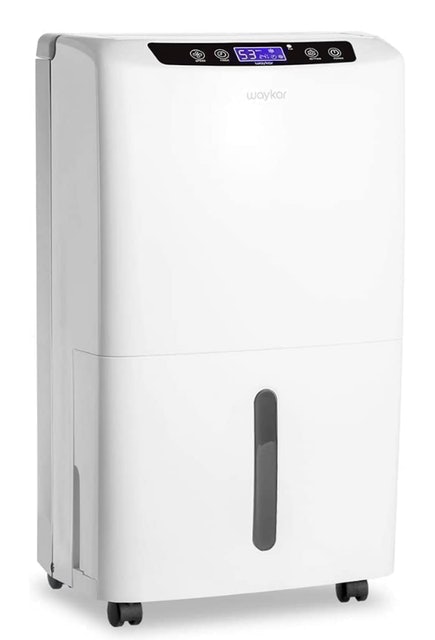 10 Best Dehumidifiers in 2022 (Midea, Eva Dry, and More) 1