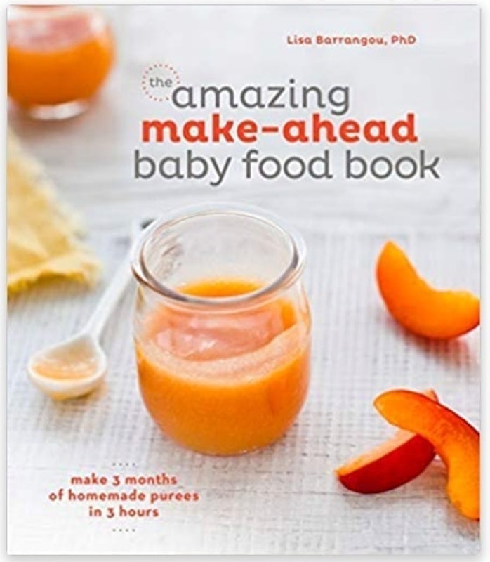 The Amazing Make-Ahead Baby Food Book 1