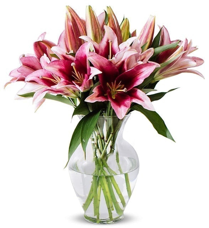 Stargazer Lily Bunch 1