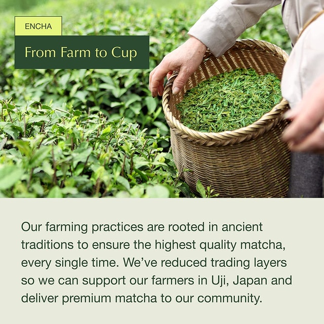 Latte Grade Organic Matcha 2