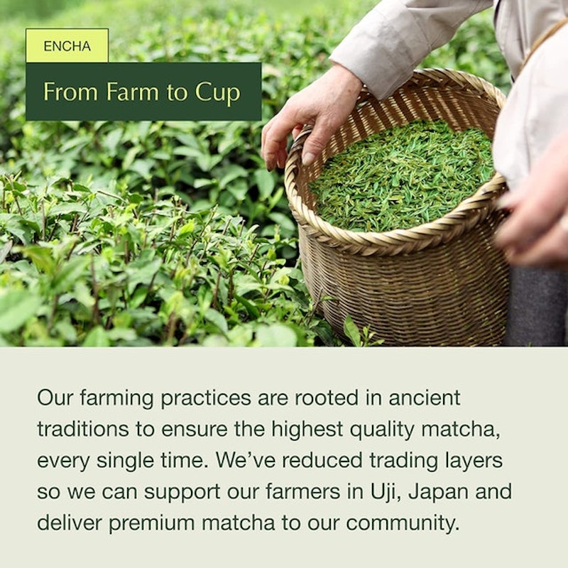 Latte Grade Organic Matcha 2