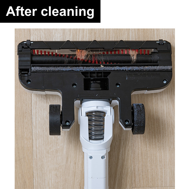RapidClean Pro 3