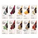 Theo Chocolate, Inc. Vegan Dark Variety 10 Pack 1
