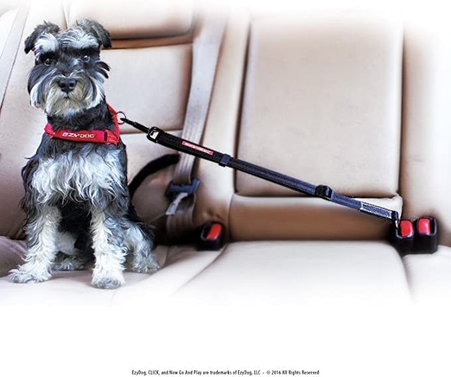 10 Best Gifts for Dog Lovers in 2022 (Outward Hound, Hoofun, and More) 2