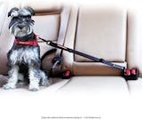 10 Best Gifts for Dog Lovers in 2022 (Outward Hound, Hoofun, and More) 2