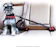 EzyDog Best Dog Seat Belt 1