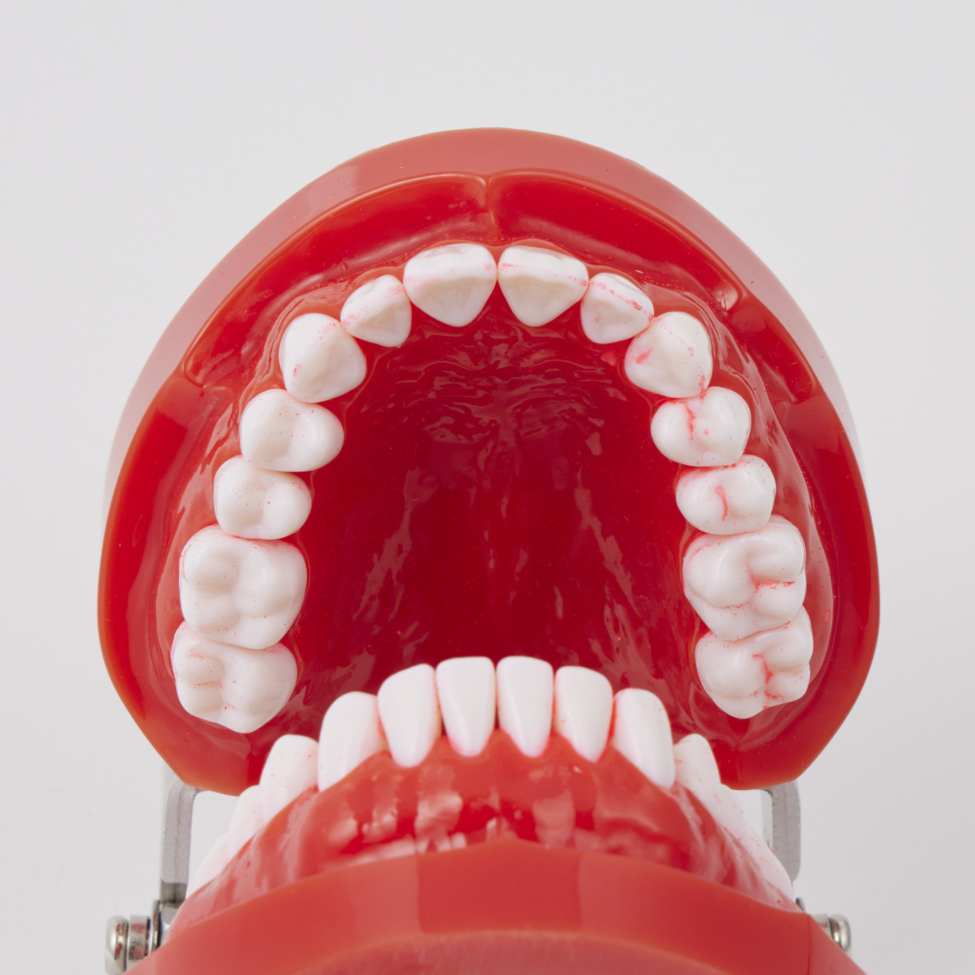 Bitvae R2 Rotating Toothbrush 10