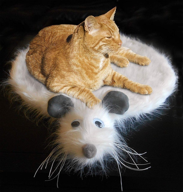 10 Best Cat Beds in 2022 (PetFusion, Pet Magasin, and More) 5
