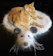 Kitty's Mouse Skin Rug Kitty's Mouse Skin Rug 1