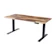 Vari Electric Standing Desk 1