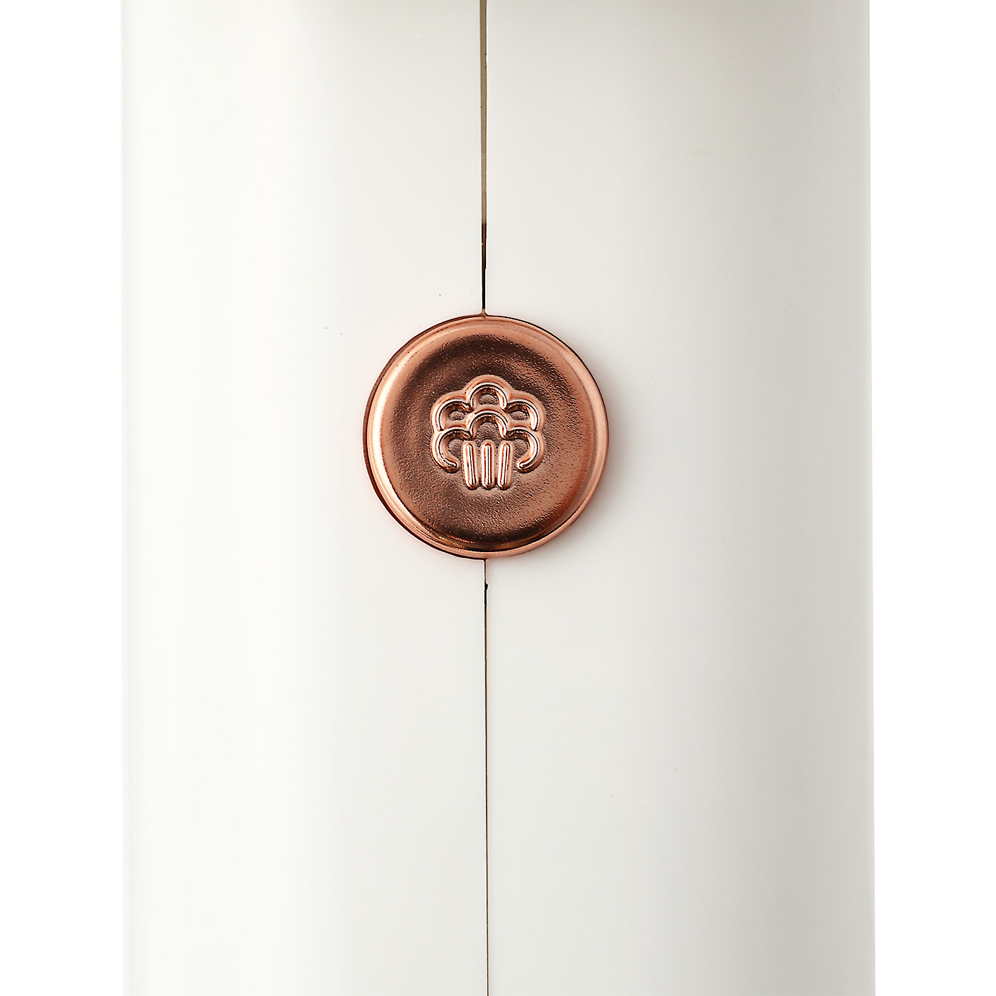 Clothes Steamer 3