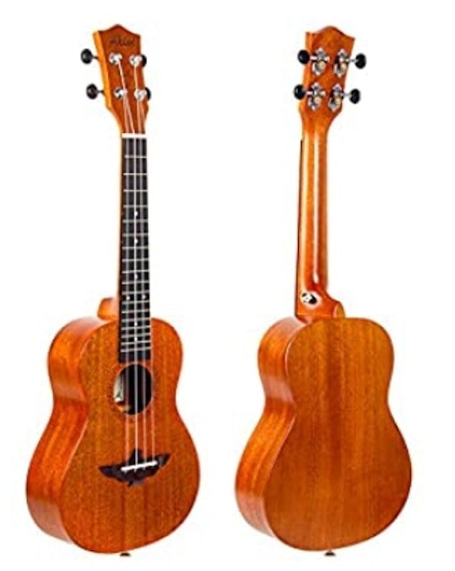 Concert Ukelele 1