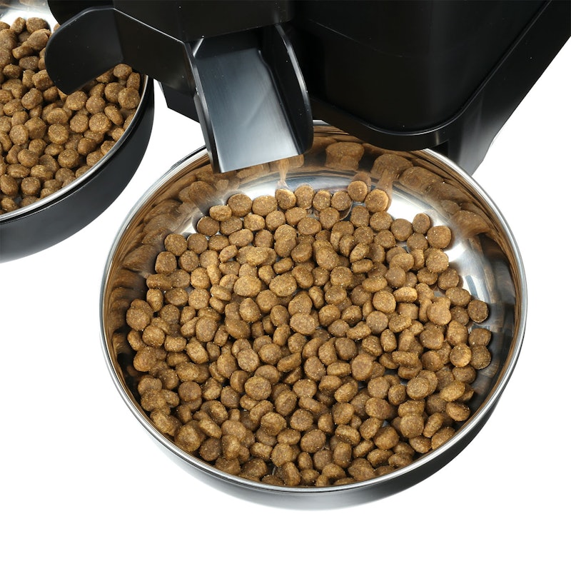 Automatic Cat Feeders for Two Cats 11