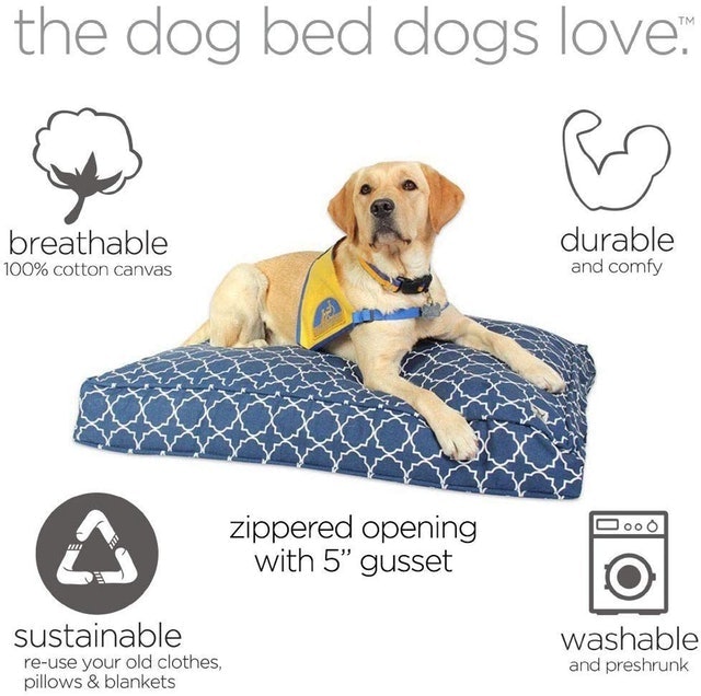 Calming Dog Bed  2