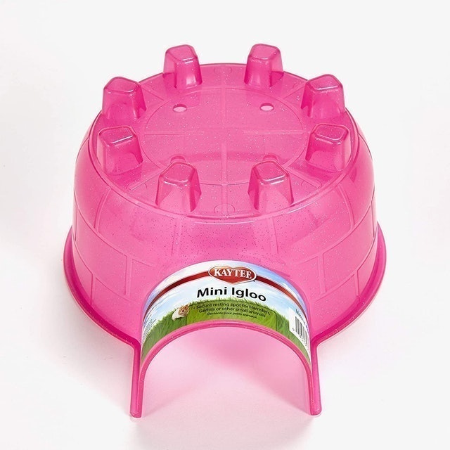 Igloo  1