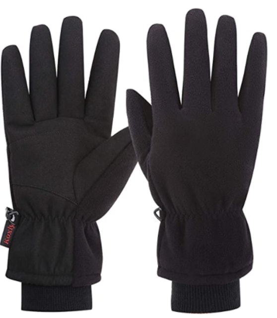 Winter Gloves 1