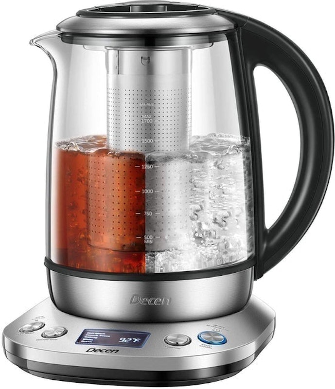 Water Kettle With Removable Tea Infuser 1