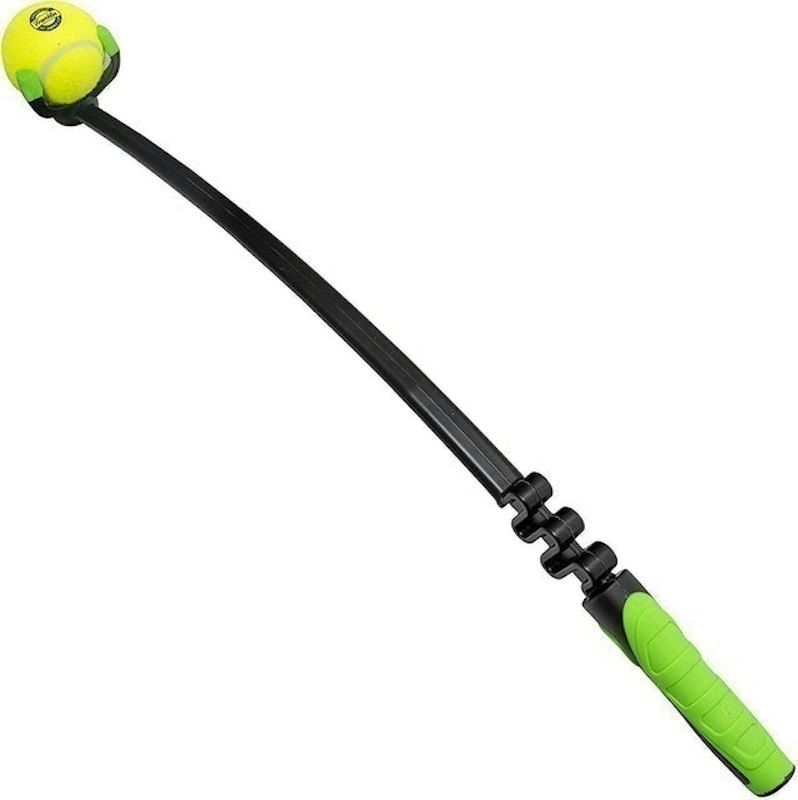 Ready Set Fetch Launcher 1