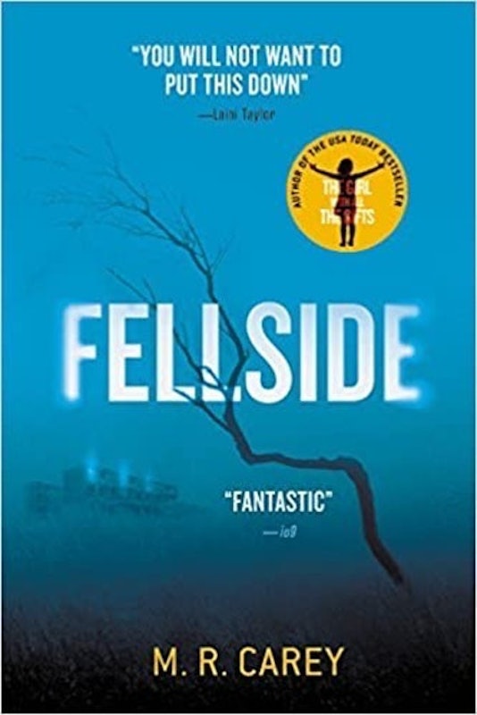 Fellside 1