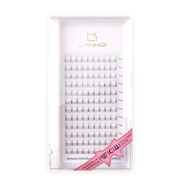  Premade Fans Eyelash Extensions 1