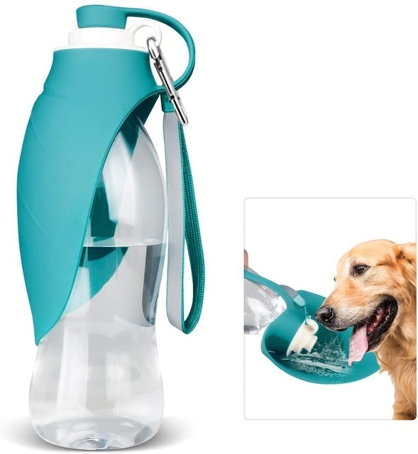 Water Bottle  1
