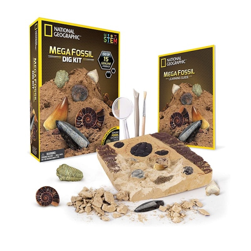 Mega Fossil Dig Kit 1