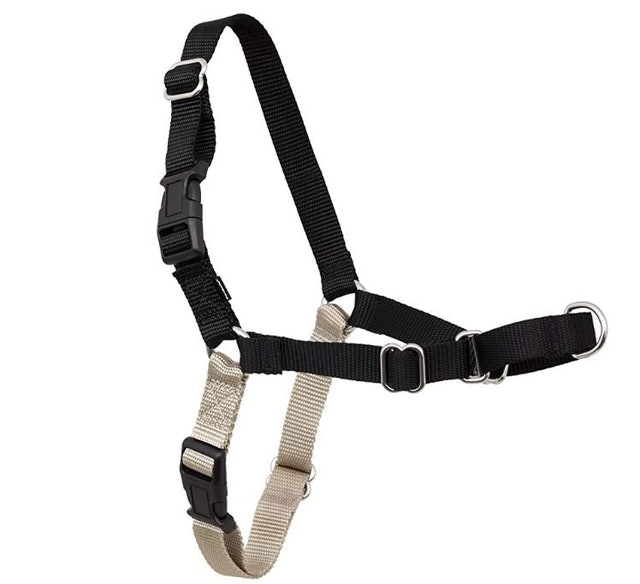 10 Best No-Pull Dog Harnesses in 2022 (PetSafe and More) 2