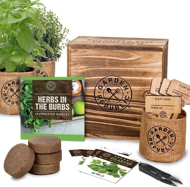 10 Best Indoor Garden Kits in 2022 (Master Gardener-Reviewed) 2