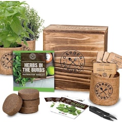 Herbs in the Burbs Starter Kit
