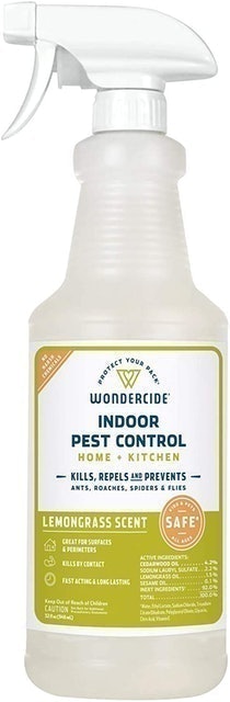 Indoor Pest Control 1