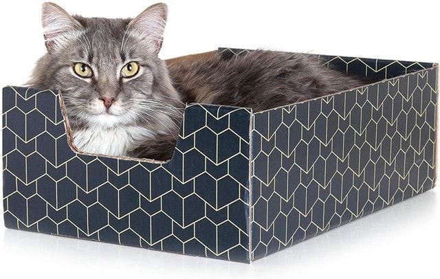 Purrfect Cat Box 1