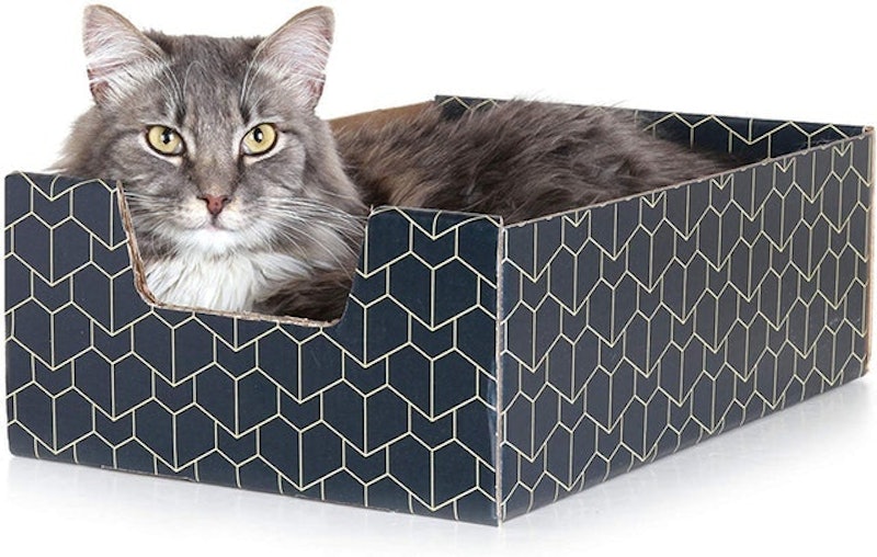 Purrfect Cat Box 1