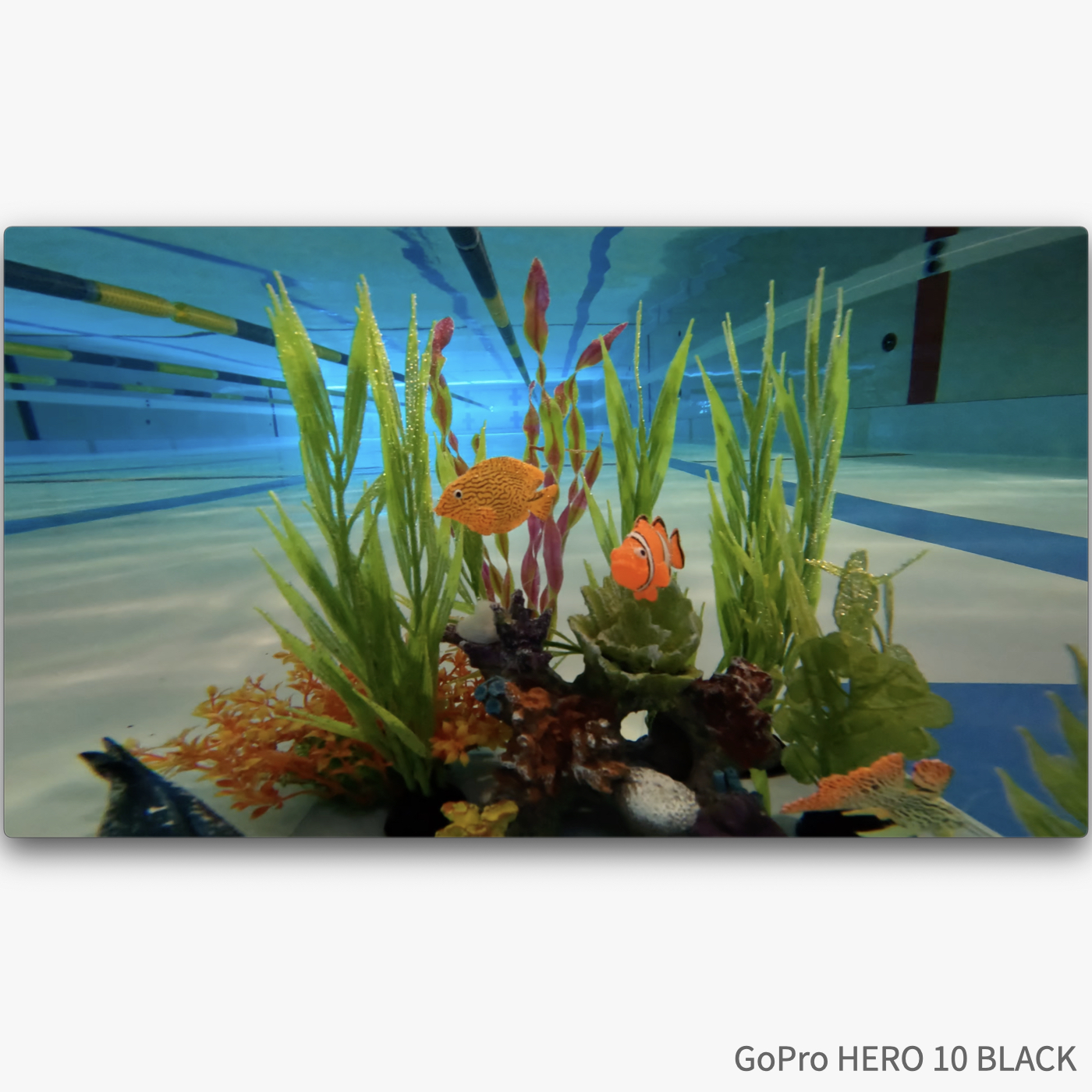 GoPro HERO10 CHDHX-101-TH 6